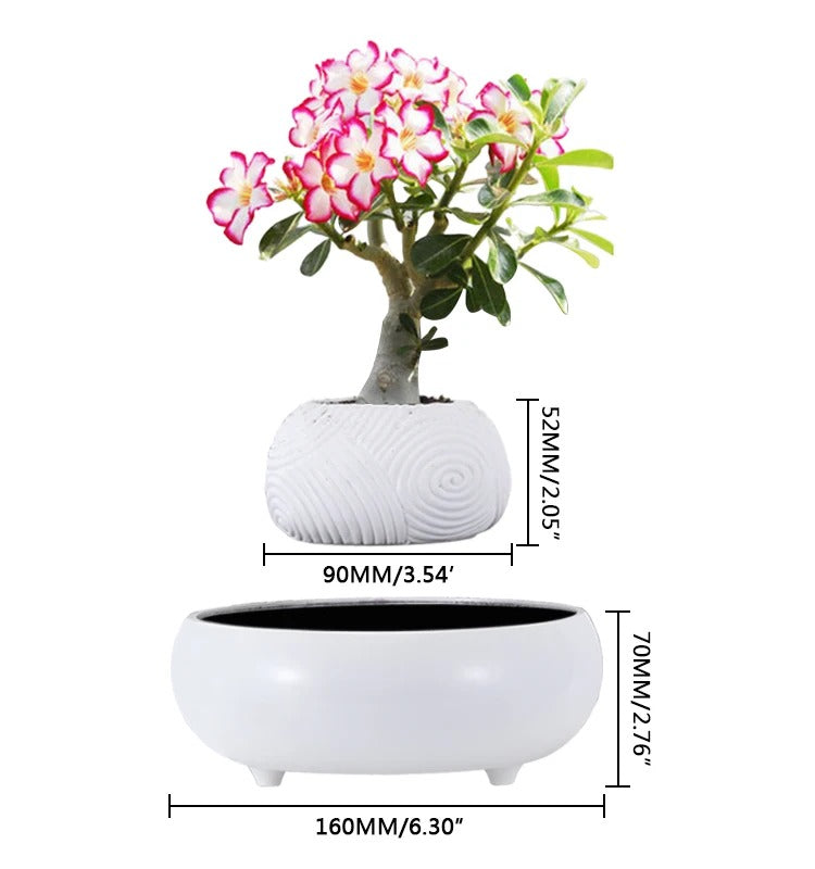 Floating Greenery - Faux Bonsai Magnetic Floating Plant for Tranquil Home Decor cabinet Sleek Contemporary Sophisticated Unique Elegant Decorative Trendy stylish Minimalist Artistic Luxury Designer tabletop table decor accessories tableware living room decor coffee table decor