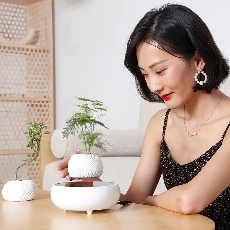 Floating Greenery - Faux Bonsai Magnetic Floating Plant for Tranquil Home Decor cabinet Sleek Contemporary Sophisticated Unique Elegant Decorative Trendy stylish Minimalist Artistic Luxury Designer tabletop table decor accessories tableware living room decor coffee table decor