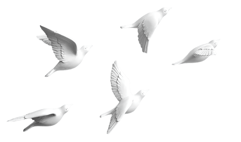 3D Wall Decor Birds - Bliss Vie