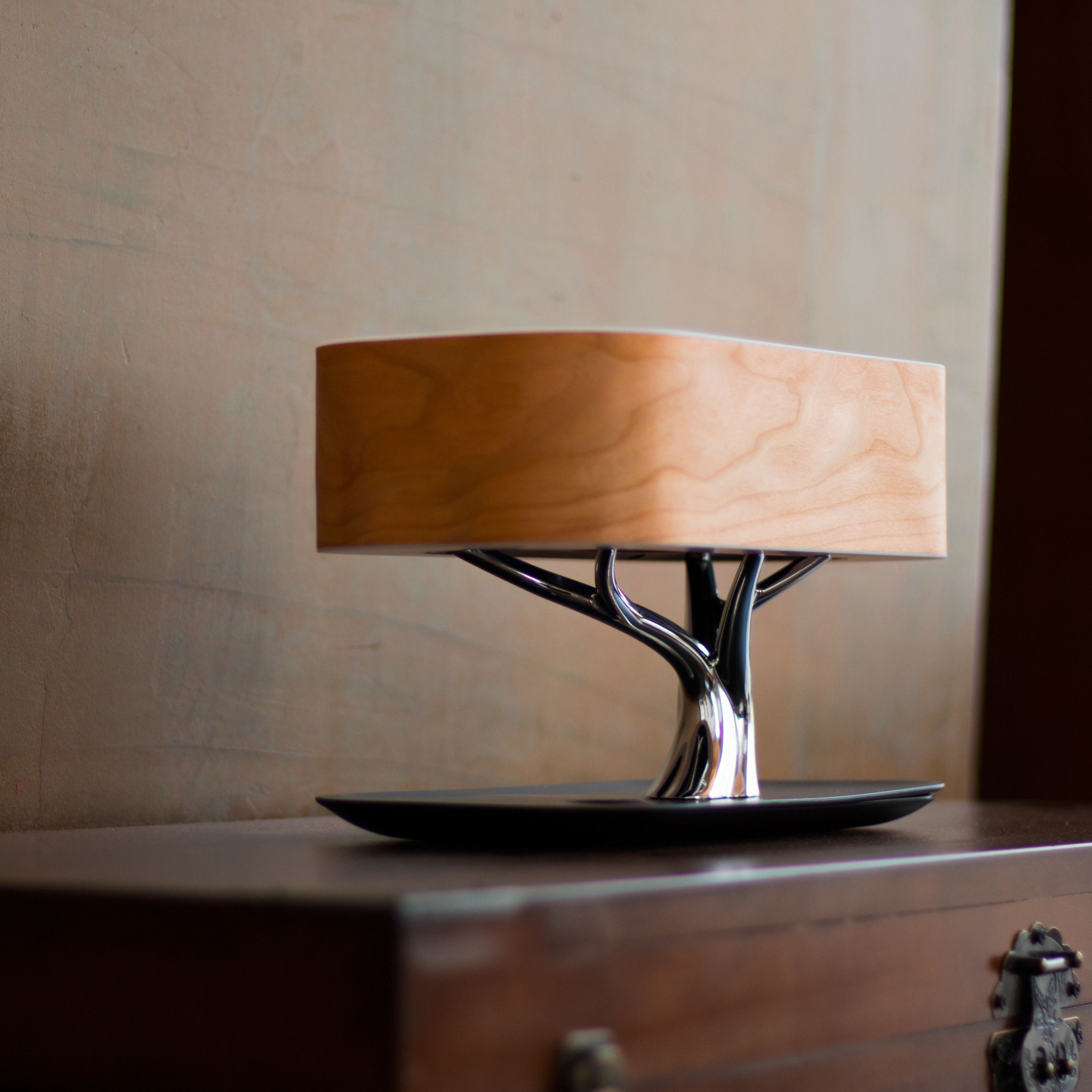 Buy Modern Wooden Table Lamp | BLISS VIE