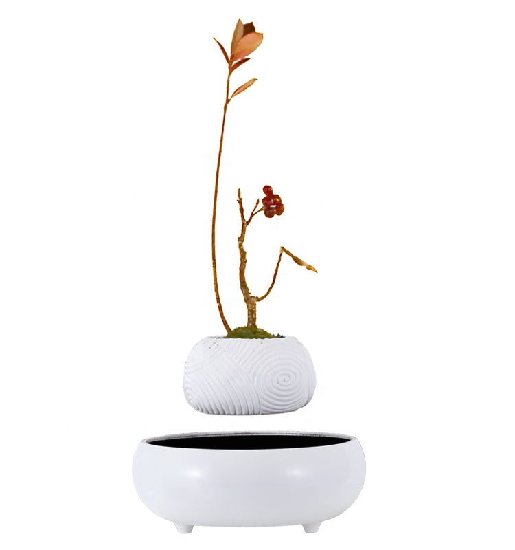 Floating Greenery - Faux Bonsai Magnetic Floating Plant for Tranquil Home Decor cabinet Sleek Contemporary Sophisticated Unique Elegant Decorative Trendy stylish Minimalist Artistic Luxury Designer tabletop table decor accessories tableware living room decor coffee table decor