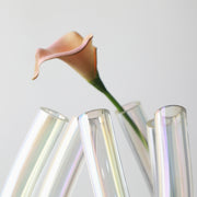 U shape transparent glass vase clear
