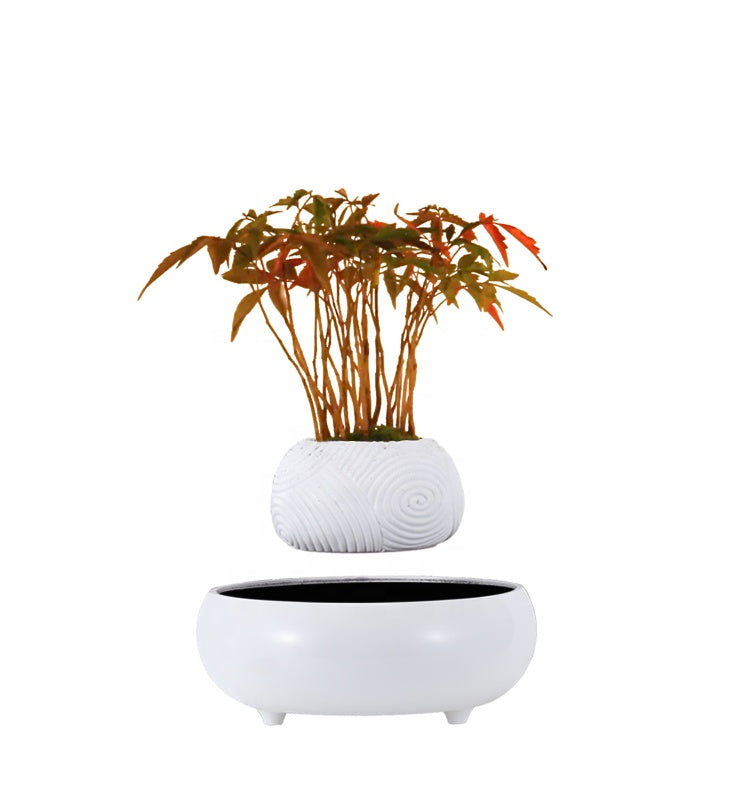 Floating Greenery - Faux Bonsai Magnetic Floating Plant for Tranquil Home Decor cabinet  Sleek Contemporary Sophisticated Unique Elegant Decorative Trendy stylish Minimalist Artistic Luxury Designer tabletop table decor accessories tableware living room decor coffee table decor