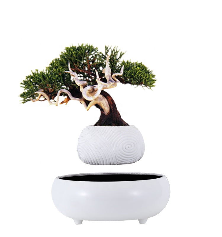 Floating Greenery - Faux Bonsai Magnetic Floating Plant for Tranquil Home Decor cabinet  Sleek Contemporary Sophisticated Unique Elegant Decorative Trendy stylish Minimalist Artistic Luxury Designer tabletop table decor accessories tableware living room decor coffee table decor