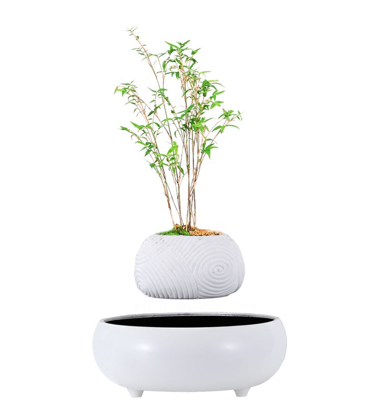 Floating Greenery - Faux Bonsai Magnetic Floating Plant for Tranquil Home Decor cabinet  Sleek Contemporary Sophisticated Unique Elegant Decorative Trendy stylish Minimalist Artistic Luxury Designer tabletop table decor accessories tableware living room decor coffee table decor